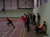 Cliquez ici pour voir l'image (Sautrelles0515.jpg)