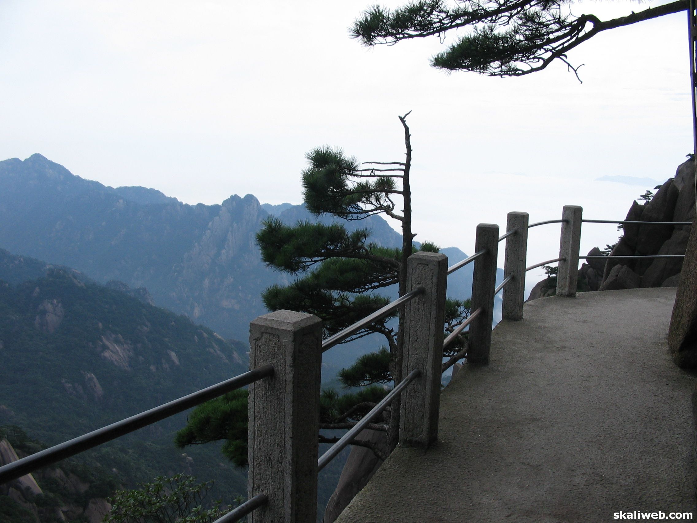 Shanghai05107