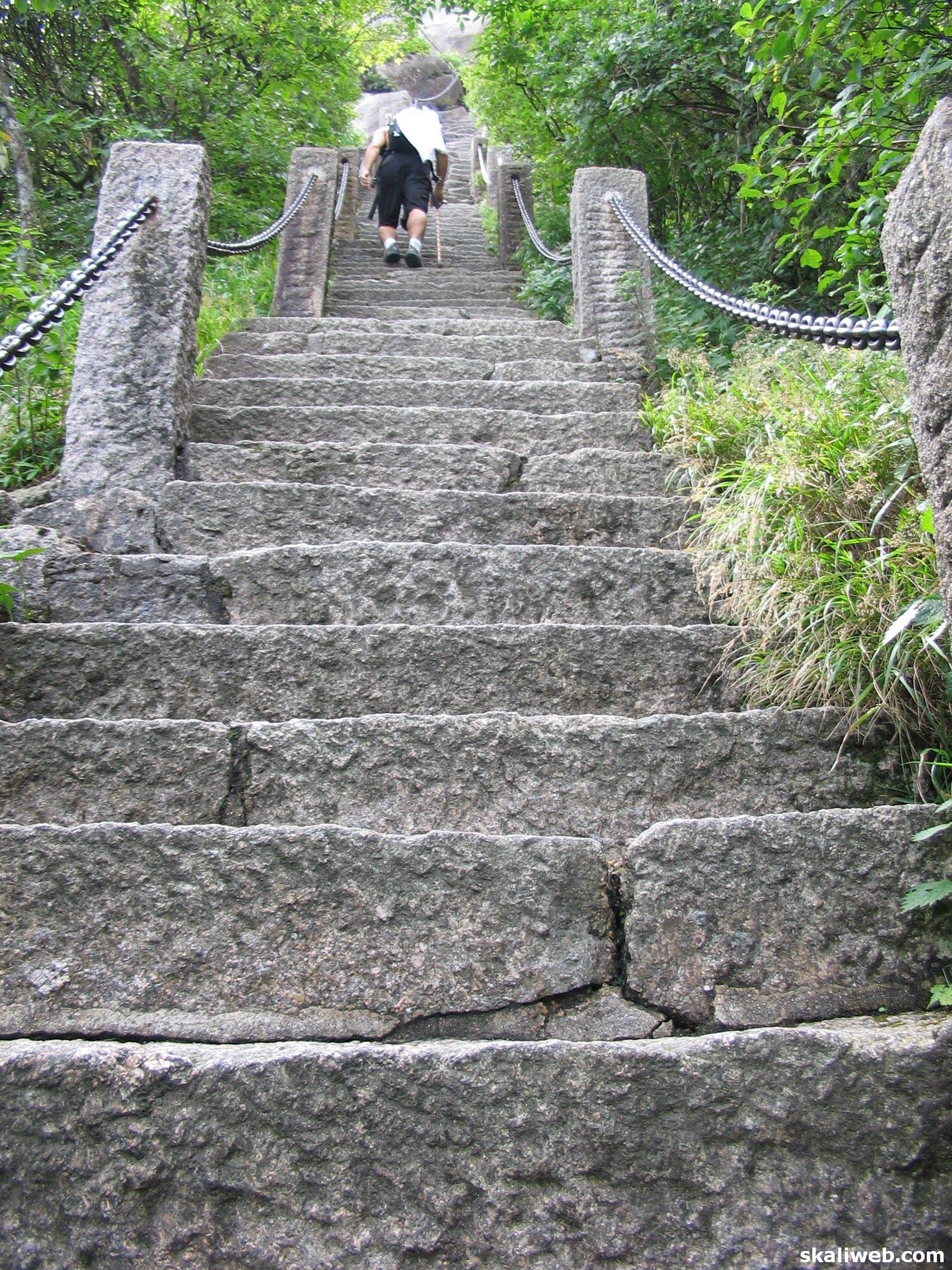 Shanghai05113