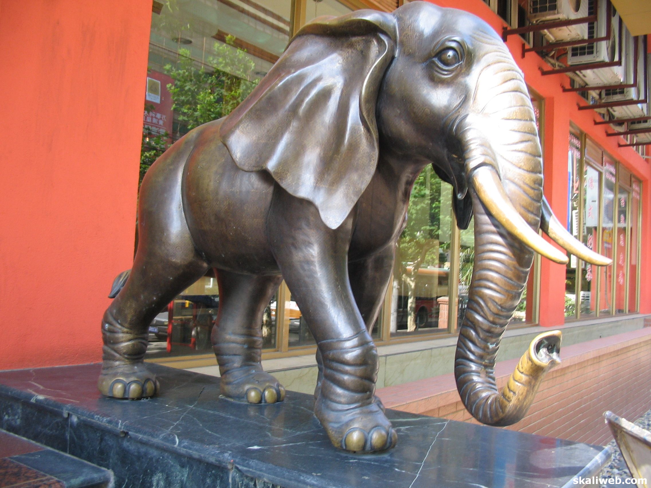 Shanghai0544