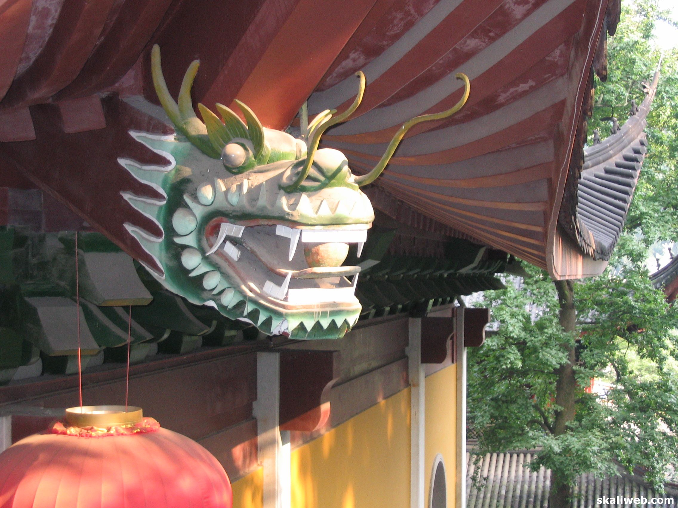 Shanghai0556