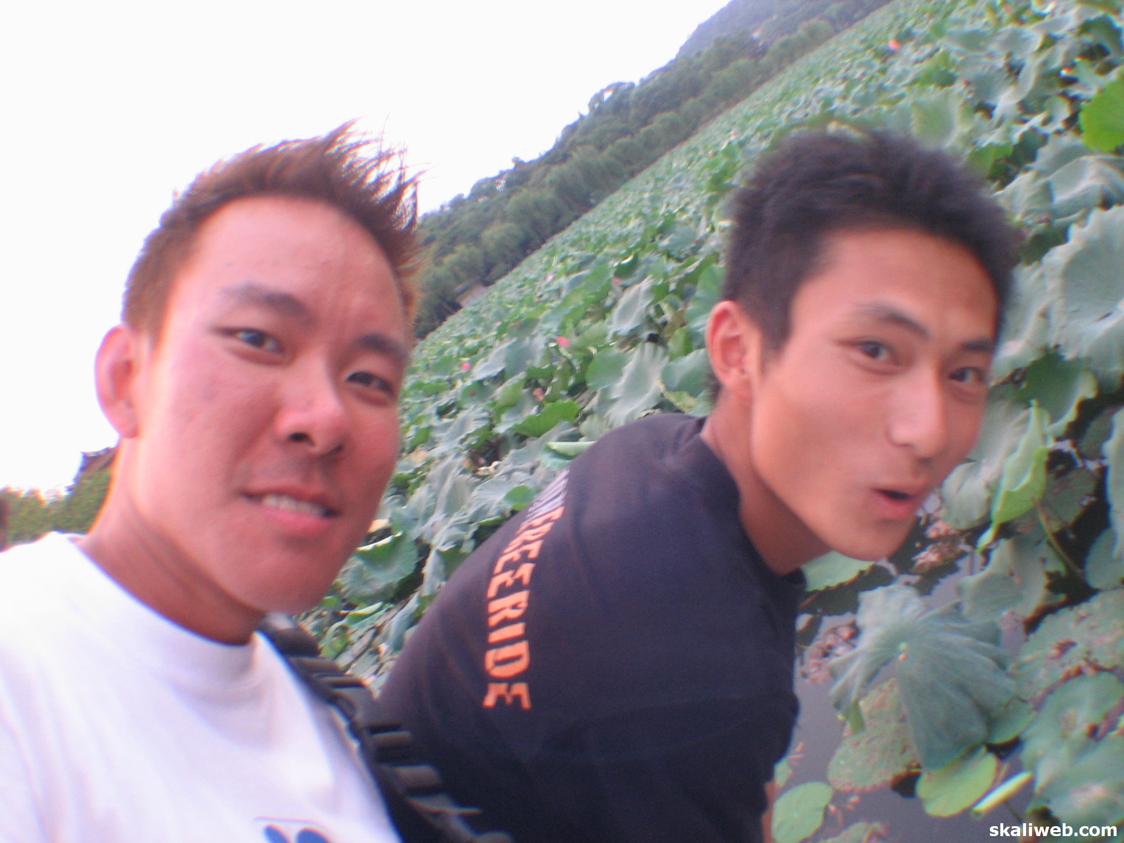 Shanghai0564
