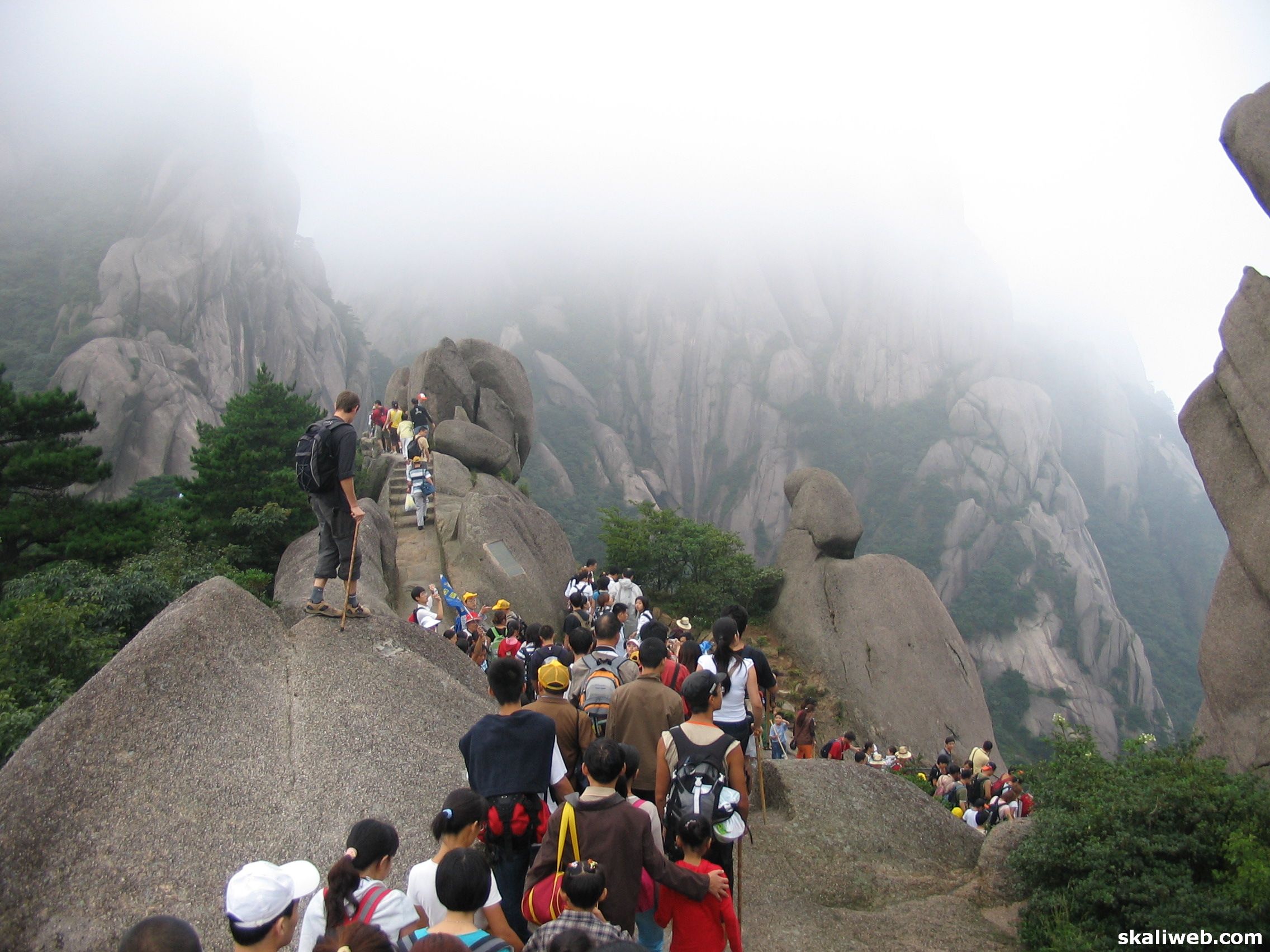 Shanghai0591
