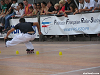 Cliquez ici pour voir l'image (Stmedard0536.jpg)
